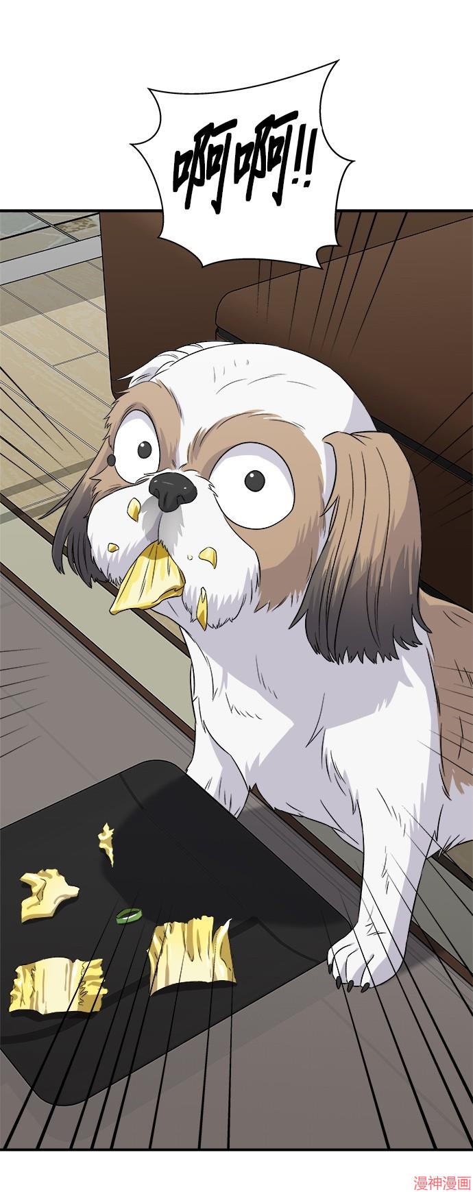 第204话0