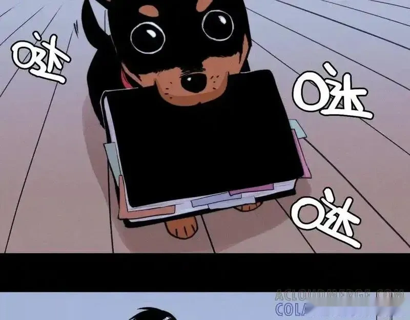 第114话 暖阳将至0