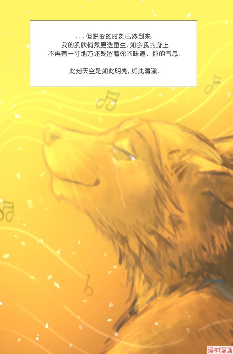 重生4