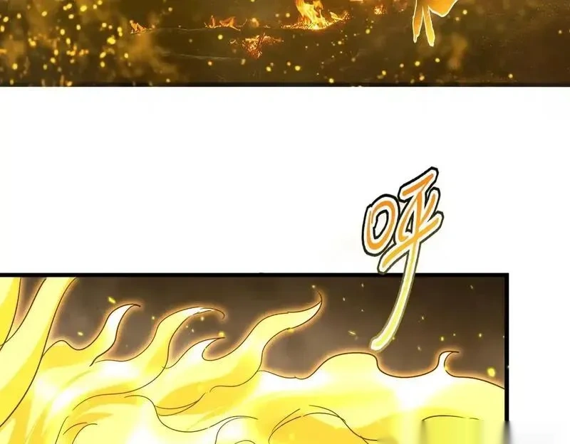 第733话 燃烧神魂，最后的金炎3