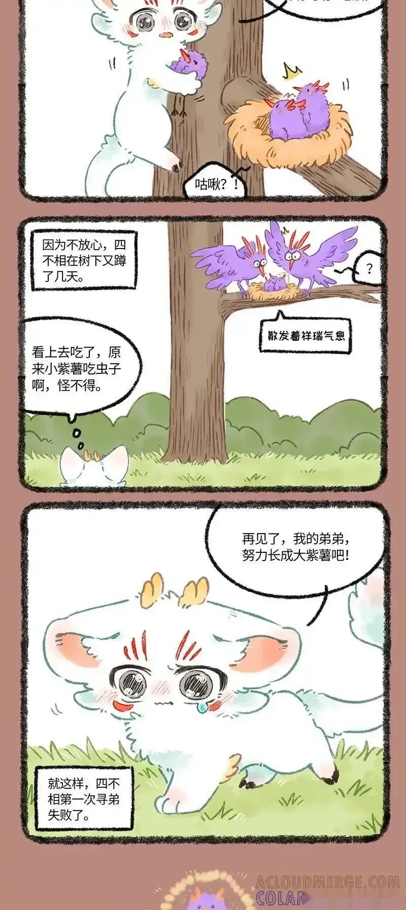 1087 我的弟弟3