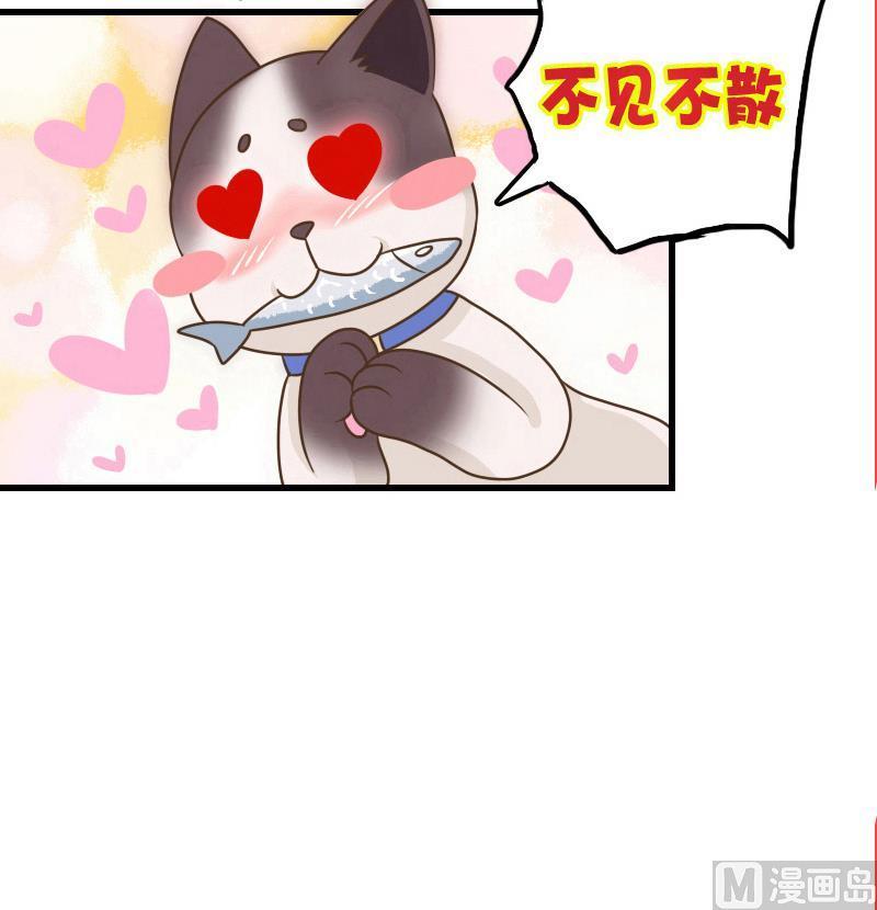 第36话 重逢1