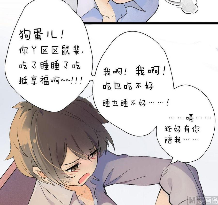 第28话他说：仓鼠成精了3