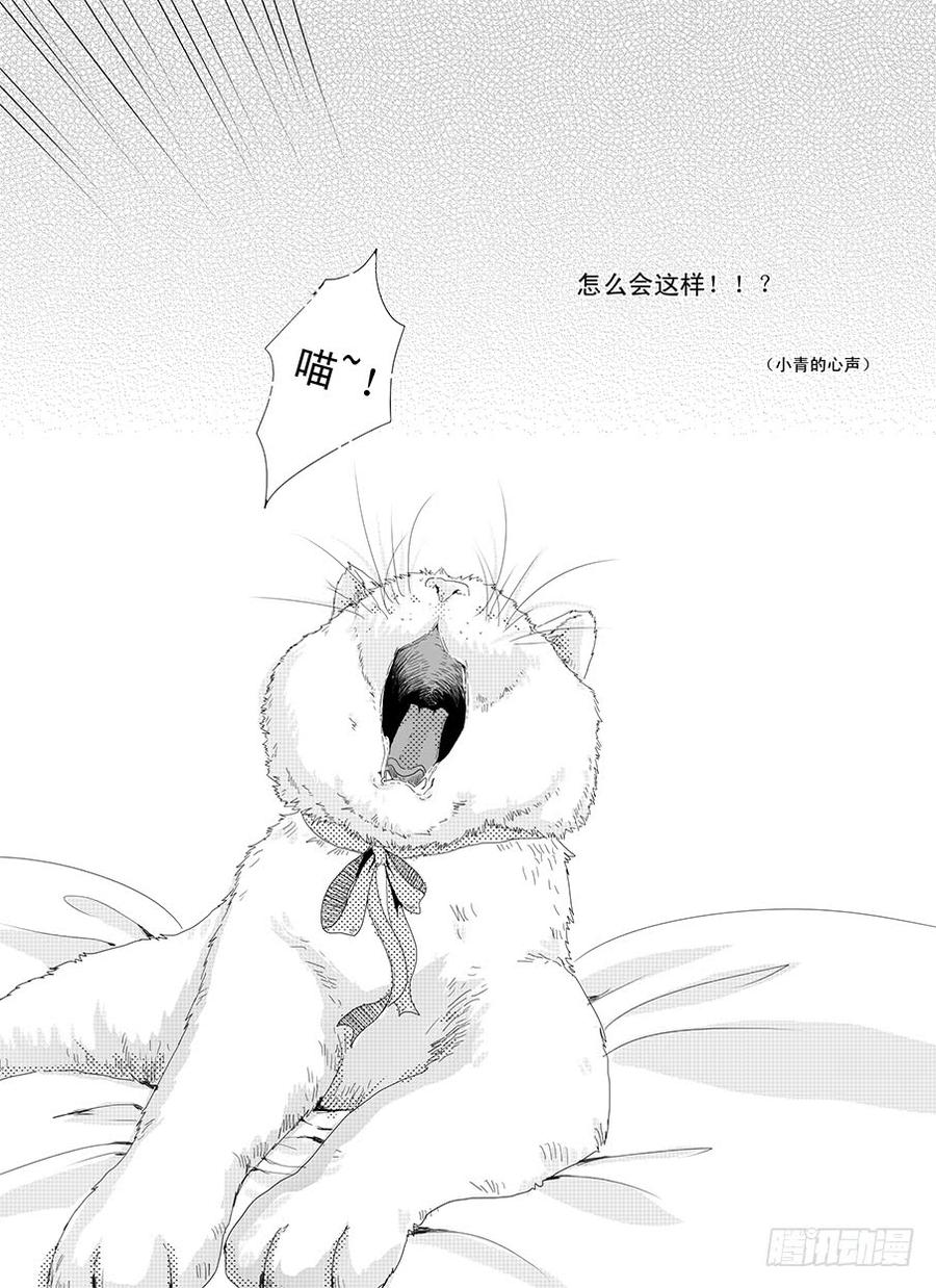 二十一《属于》2