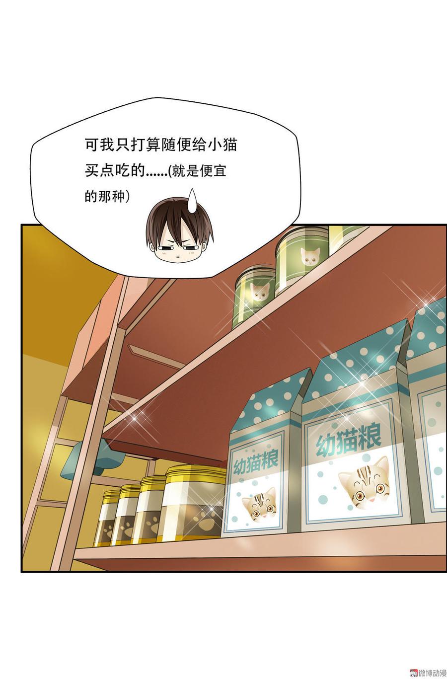 第18话 宠物店3