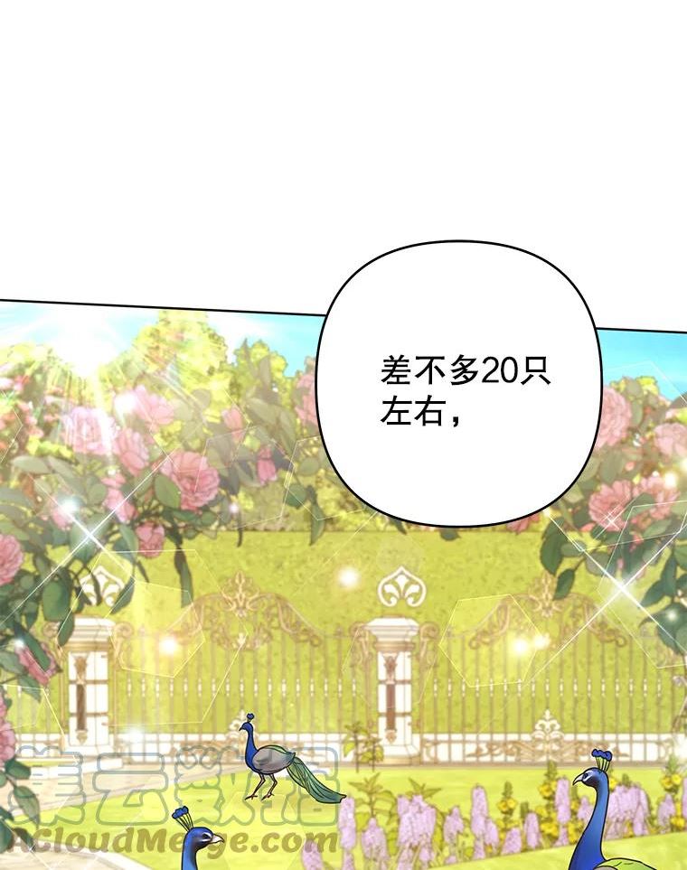 95.计划结婚典礼4