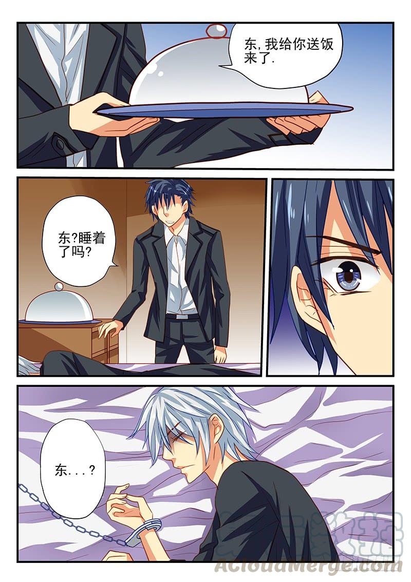 第52章 白狸的行动0