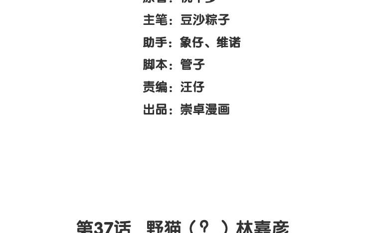 第37话 野猫（？）林嘉彦2