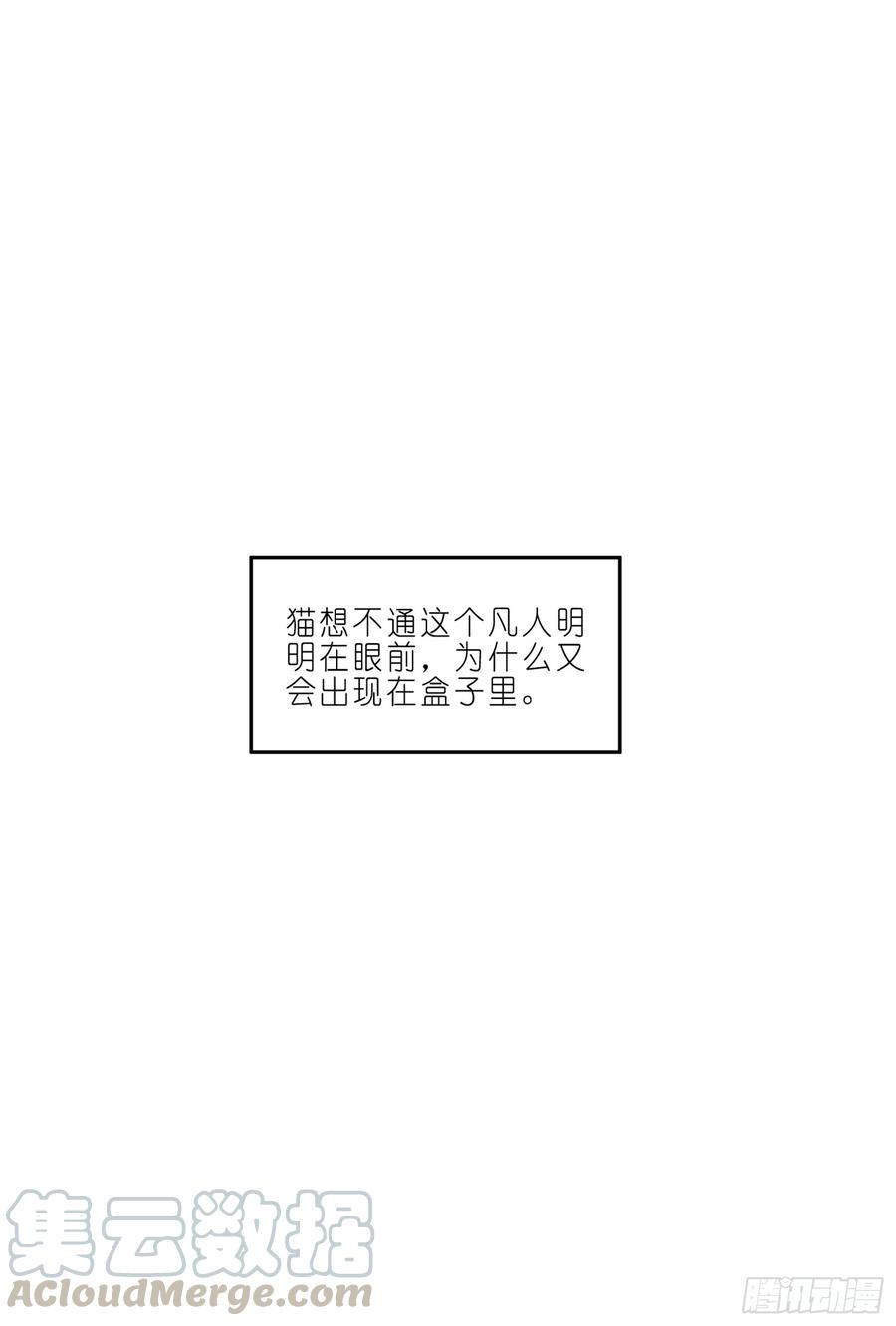 03 秃了也强了4