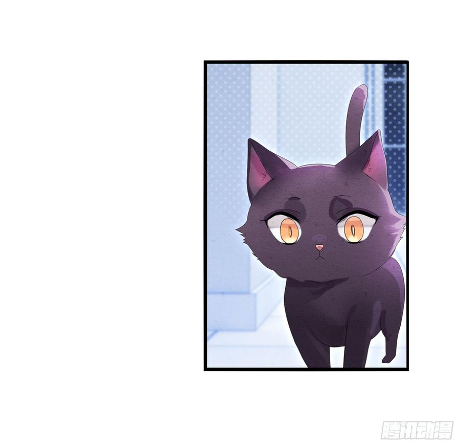 03 秃了也强了1
