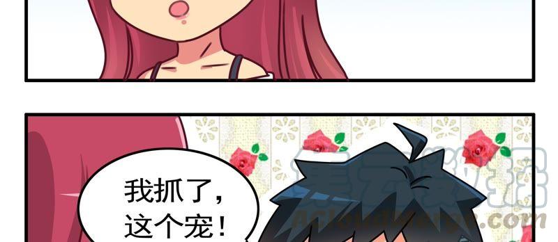 第26话 宠物小精宁（下）0