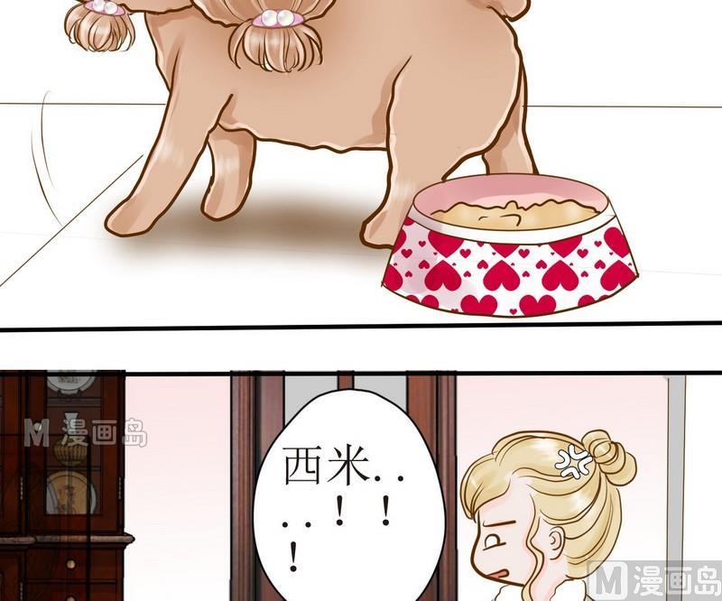 第12话 吃饱饱玩球球3