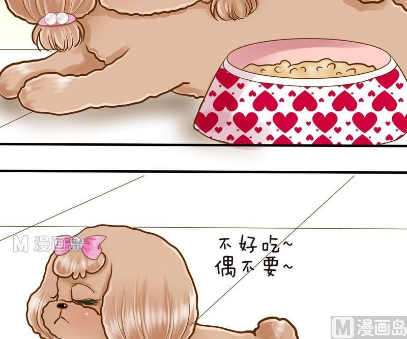 第12话 吃饱饱玩球球2