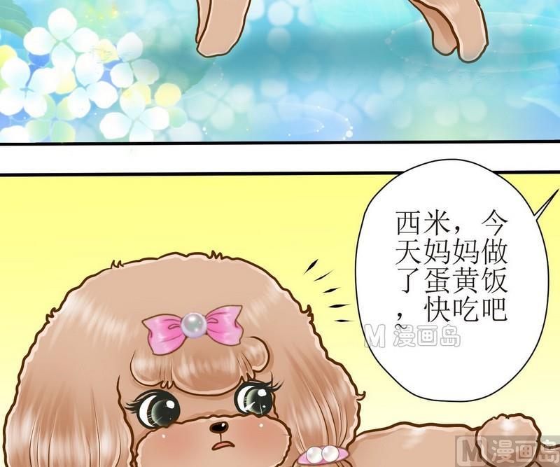 第12话 吃饱饱玩球球1