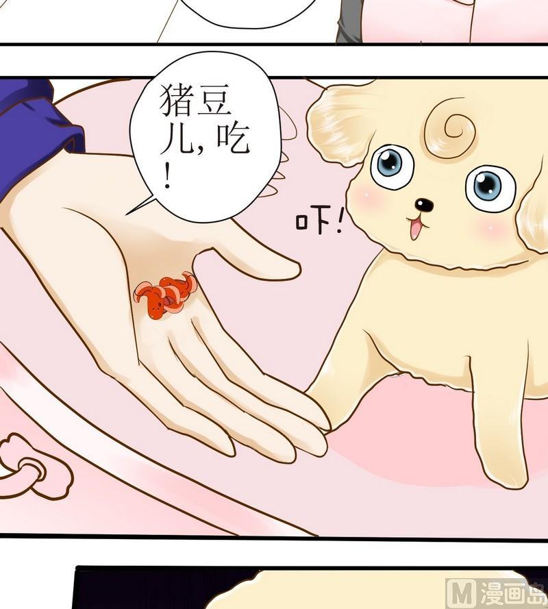 第14话 粑粑的训练课（下）3