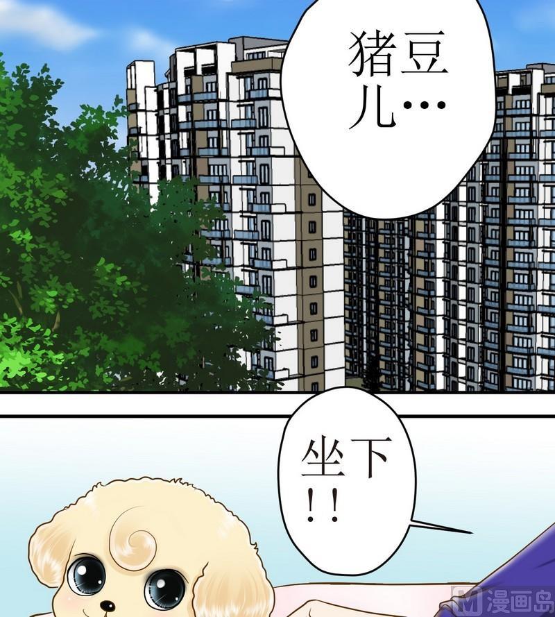 第14话 粑粑的训练课（下）1
