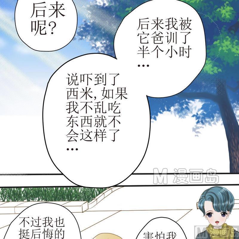 第21话 狗狗心事（上）1