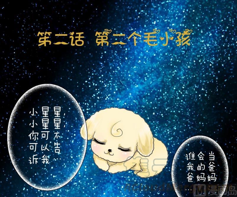 第2话 第二个毛孩儿0