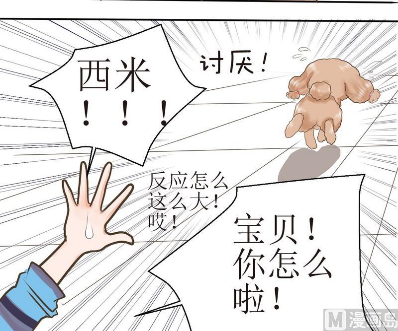 第2话 第二个毛孩儿3