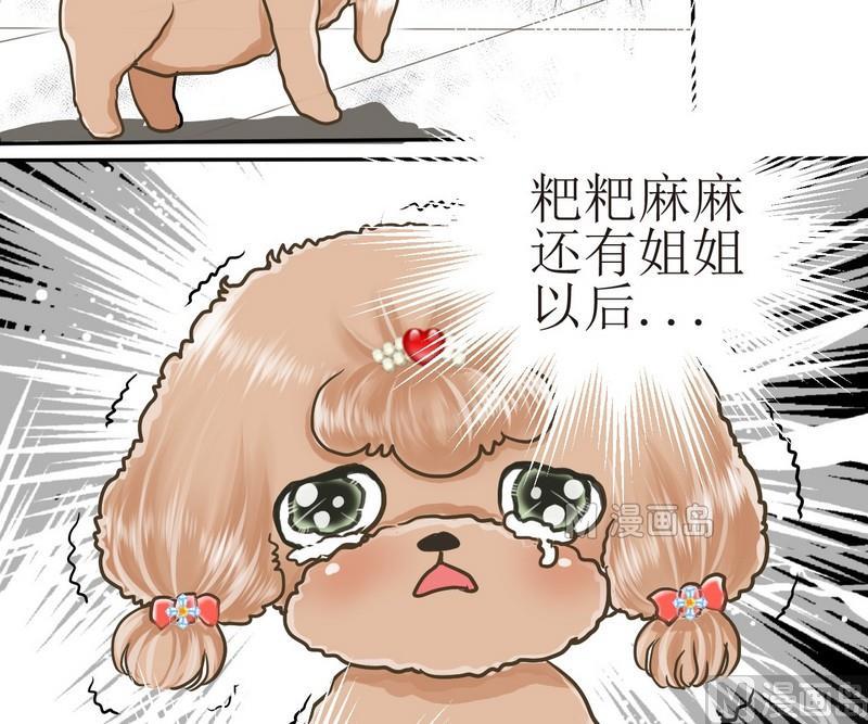 第2话 第二个毛孩儿0