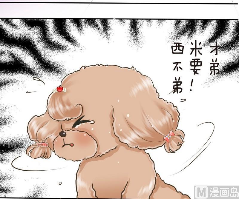 第2话 第二个毛孩儿2