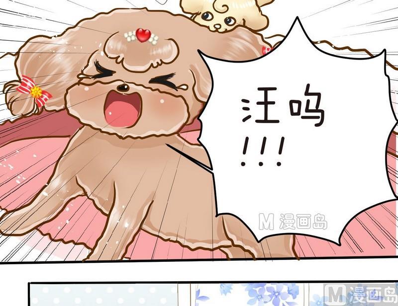 第6话 开课啦（上）3