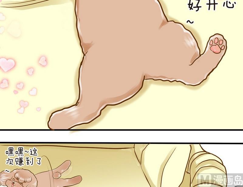 第10话 西米的花花被24
