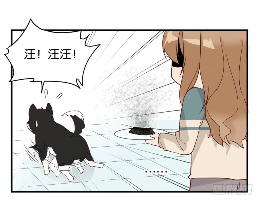 牛排与闹钟0