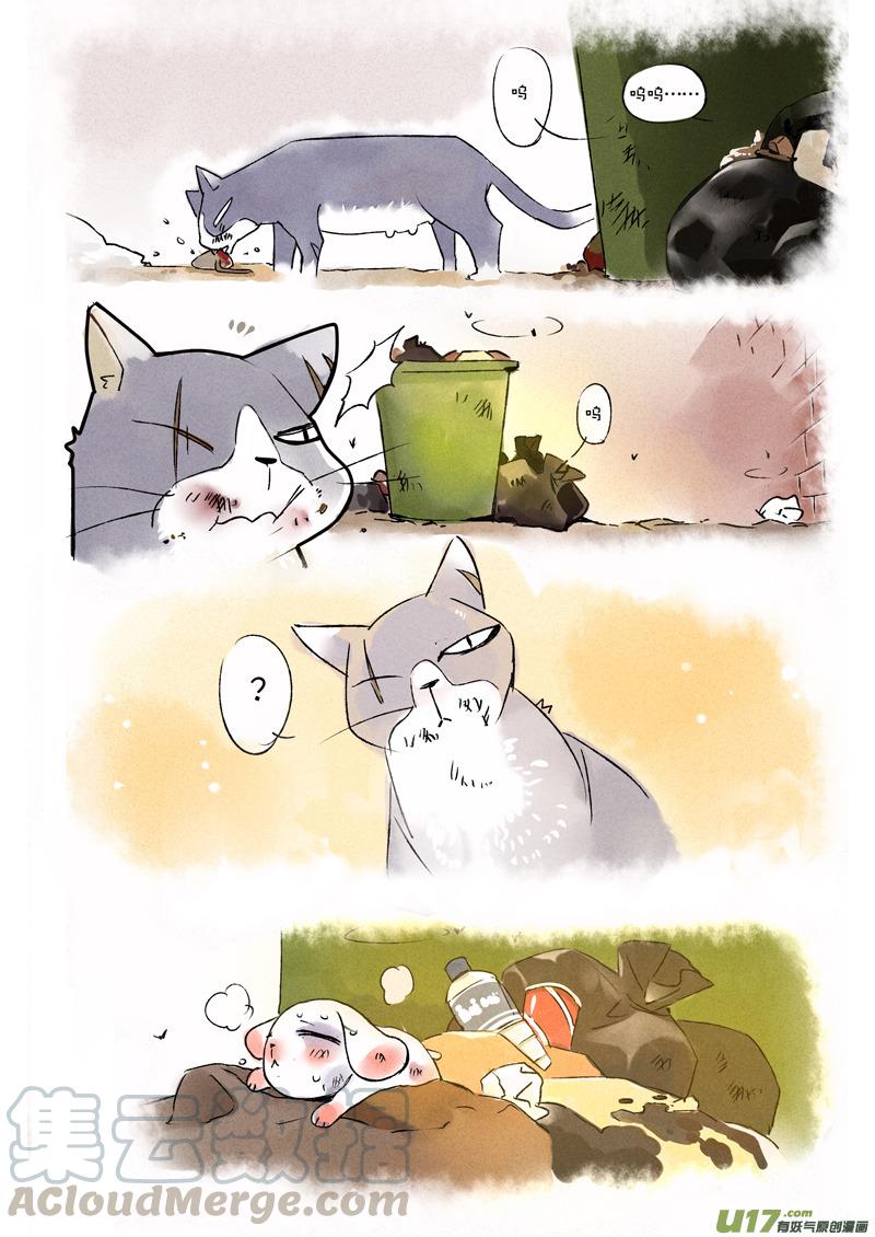 039 脆弱的生命4