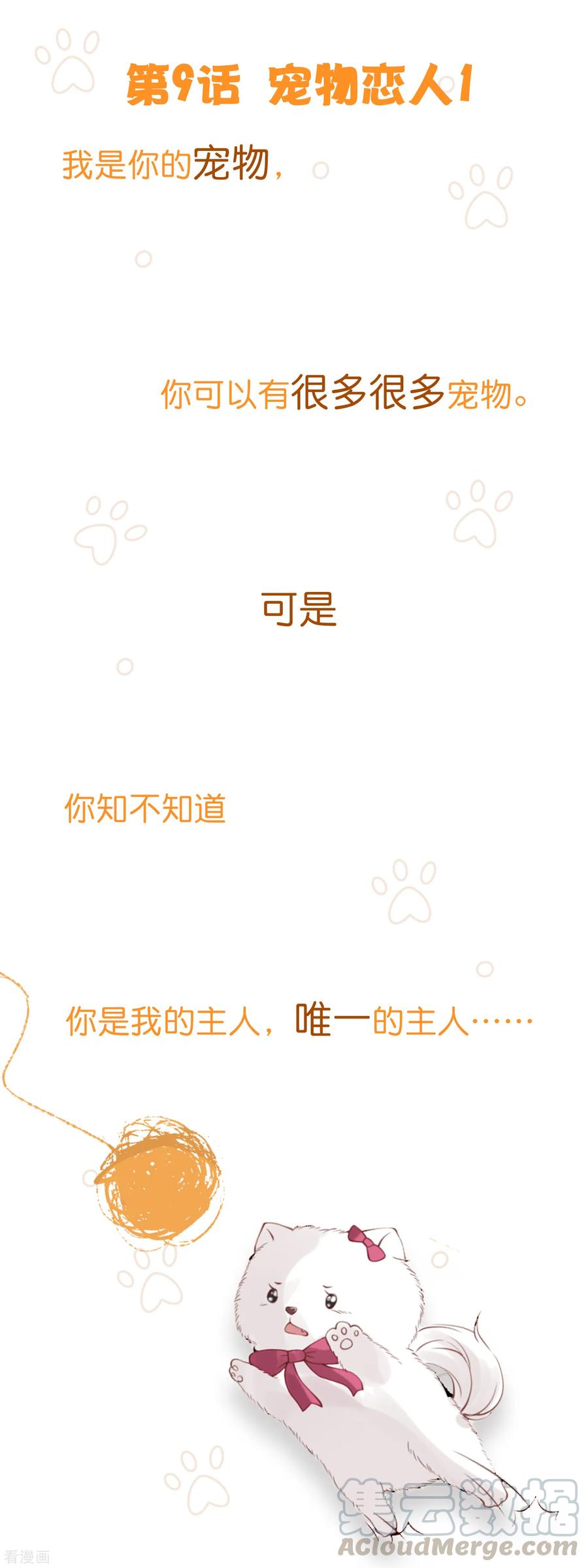 第9话 宠物恋人10
