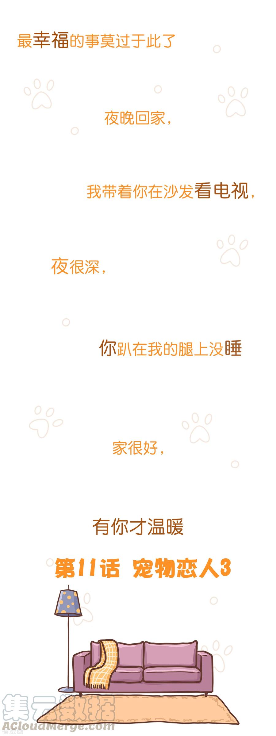 第11话 宠物恋人30