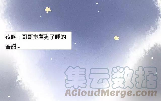 第64话 你的狗离我哥远点！0