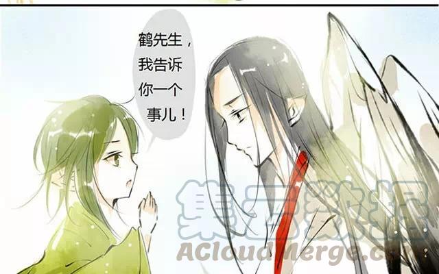 第33话：仙鹤与乌龟（三）3