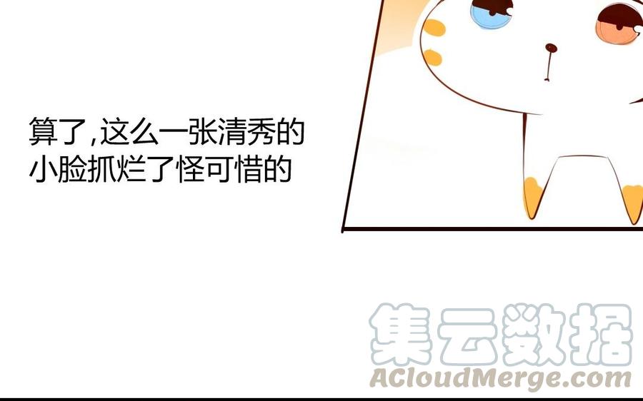 番外篇 猫公子（三）0