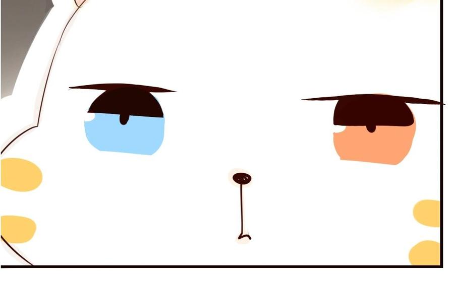 番外篇 猫公子（三）3
