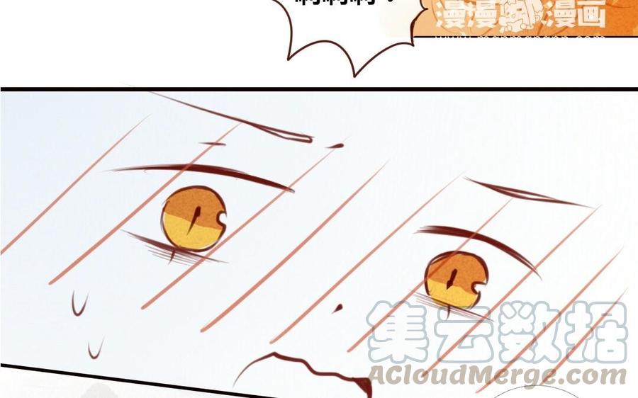 第145话 狐王与土鸡1