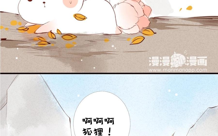 第145话 狐王与土鸡3