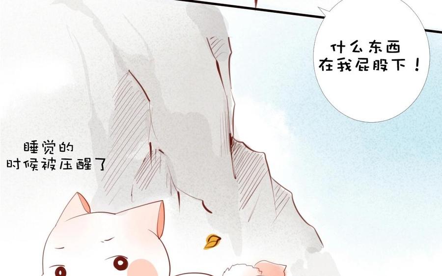 第145话 狐王与土鸡2