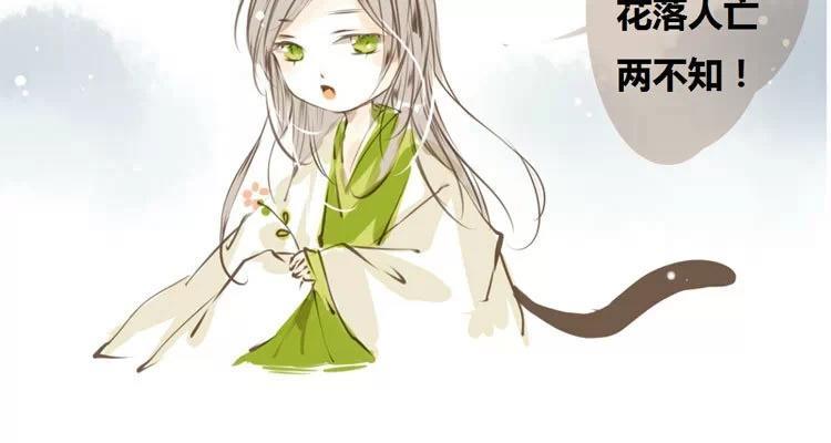 第12话：思春期的猫妖4