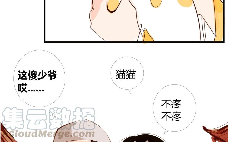 番外篇 猫公子（二）0