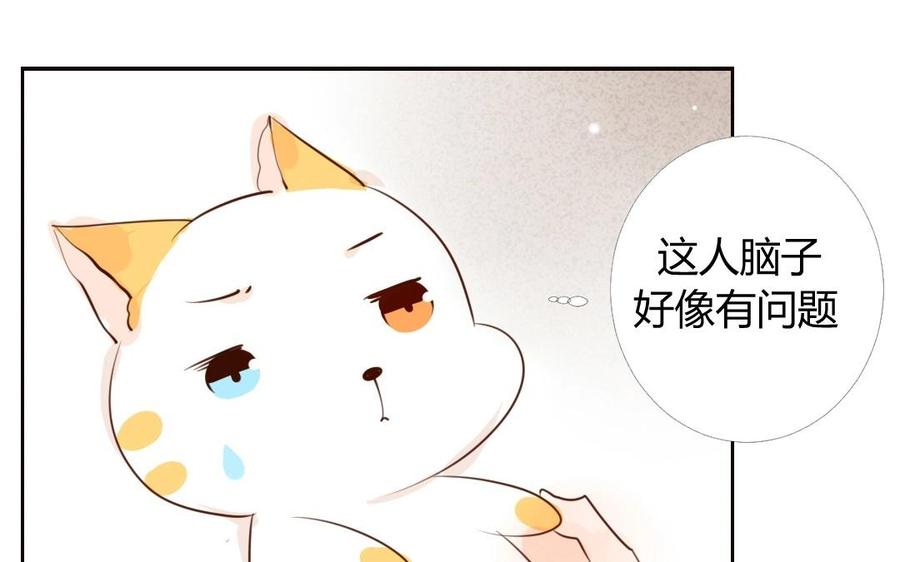 番外篇 猫公子（二）2