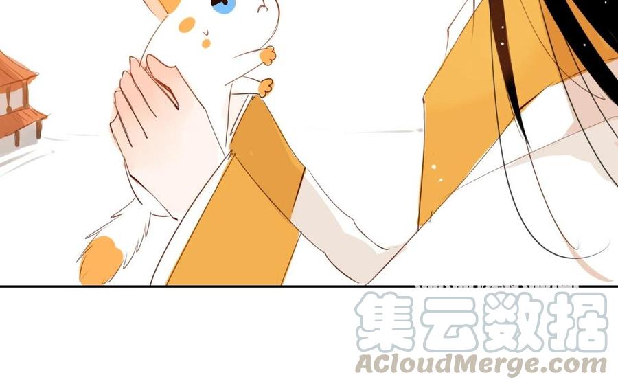 番外篇 猫公子（二）4