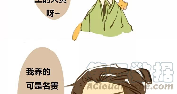 第5话：黄狗与狸3