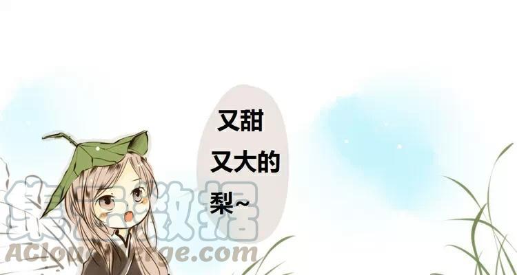 第5话：黄狗与狸4