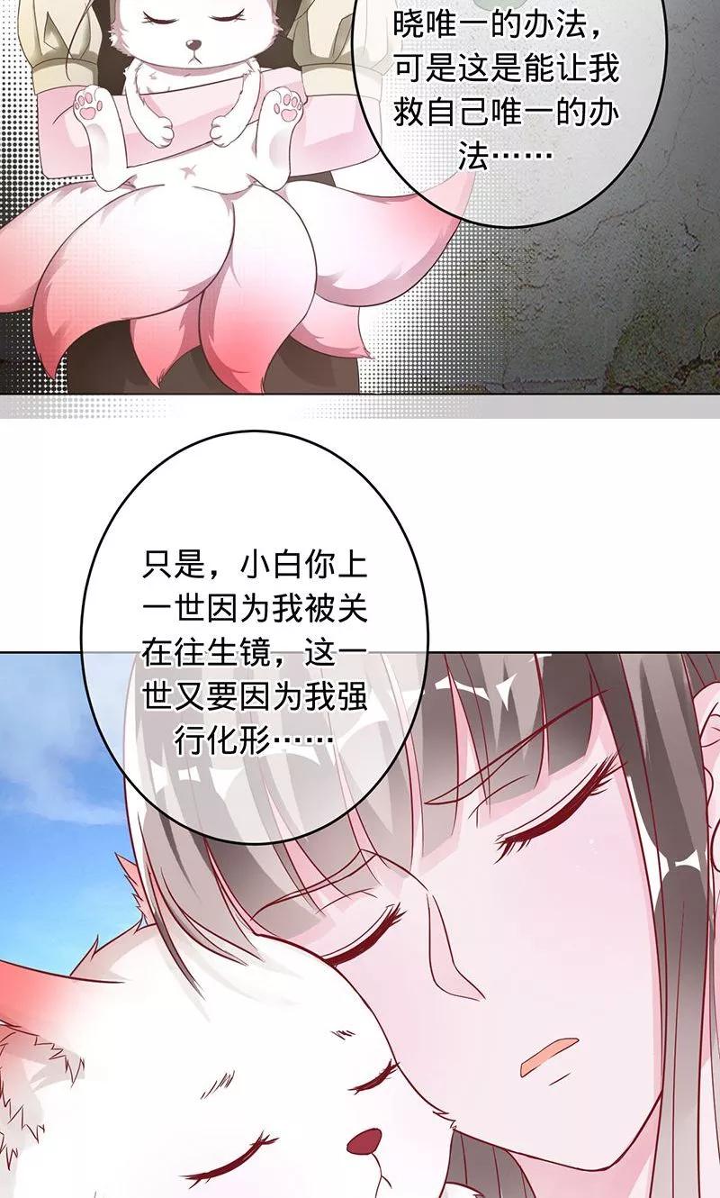 第87话 小白化形2