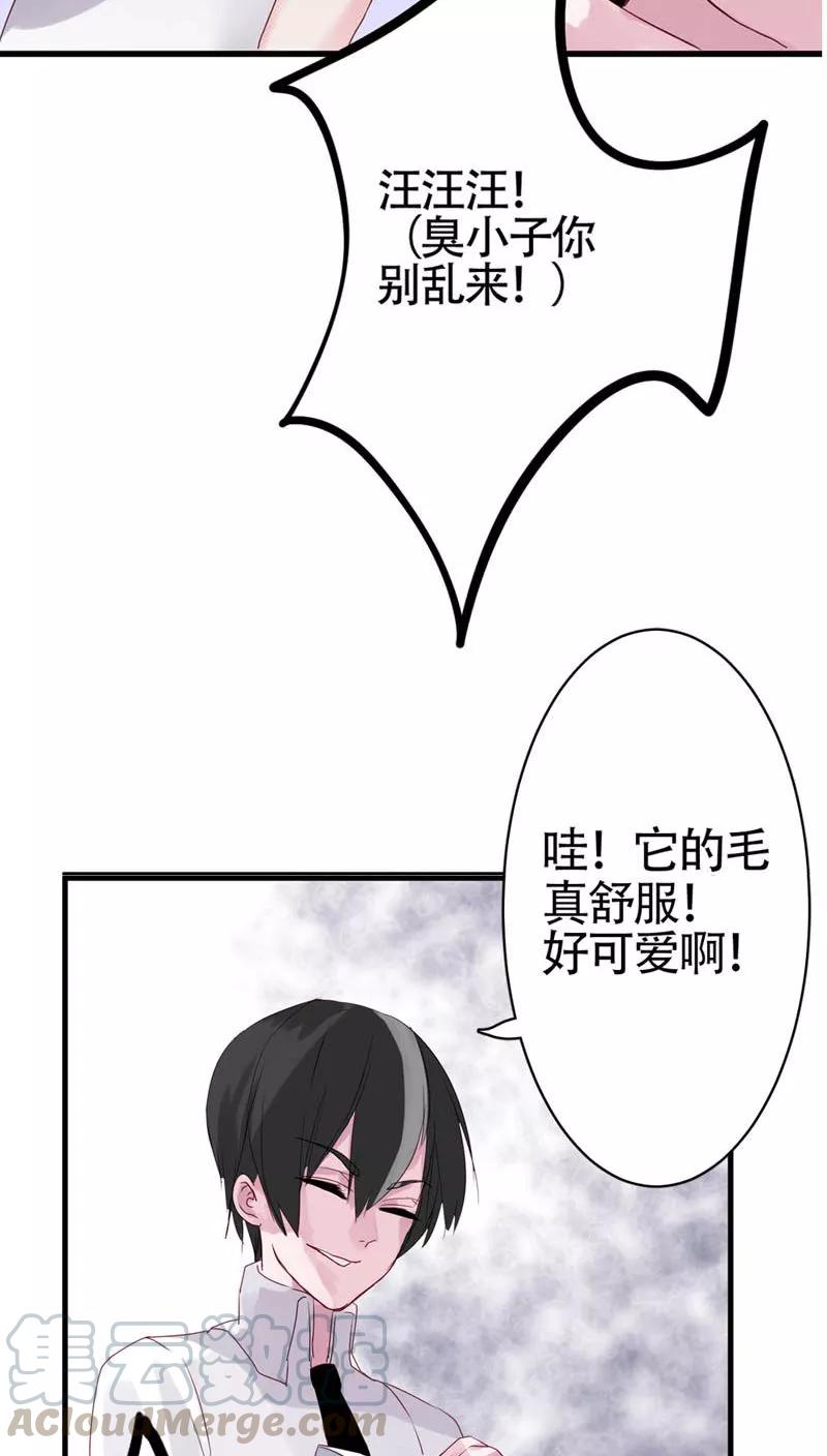 第5话 冤家路窄4