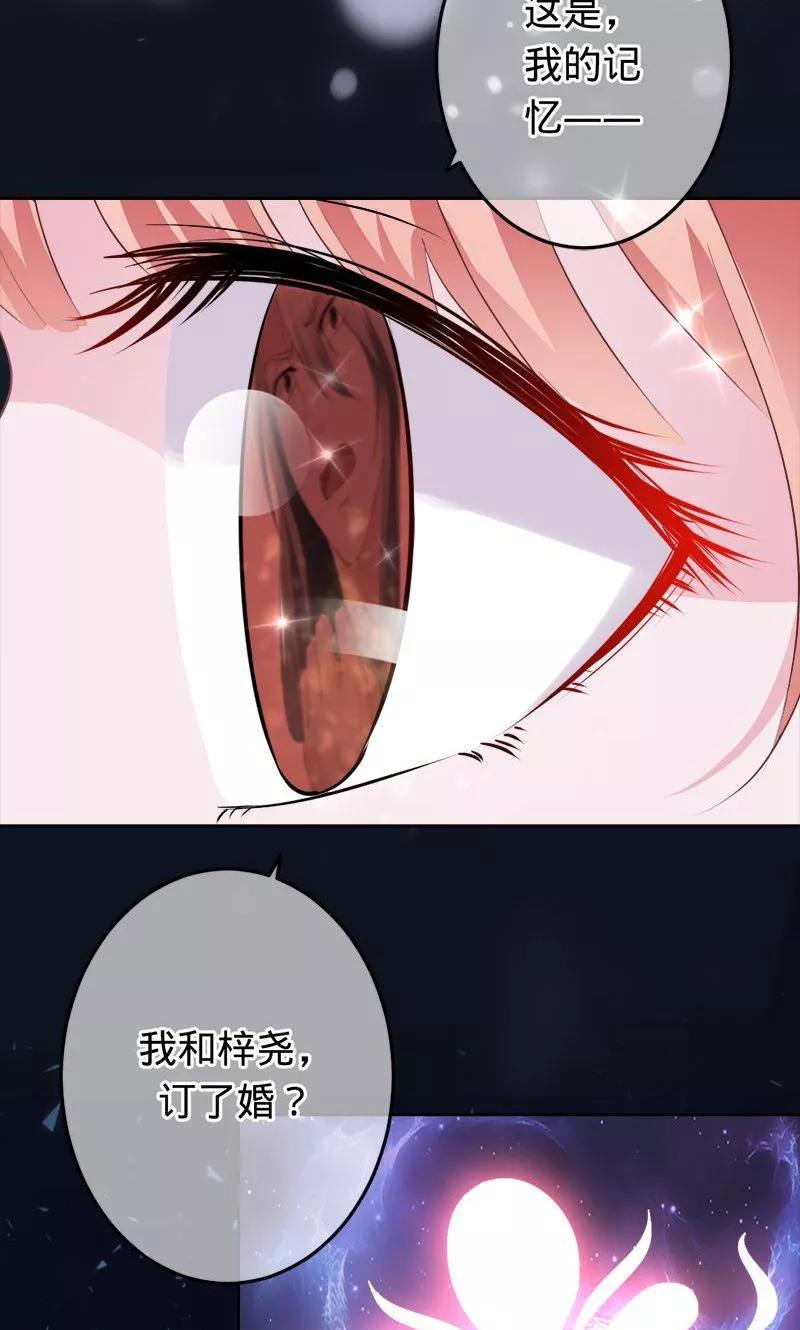 第72话 你是我梓尧的妻子0