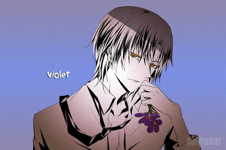 【Lv.0】马卡龙4