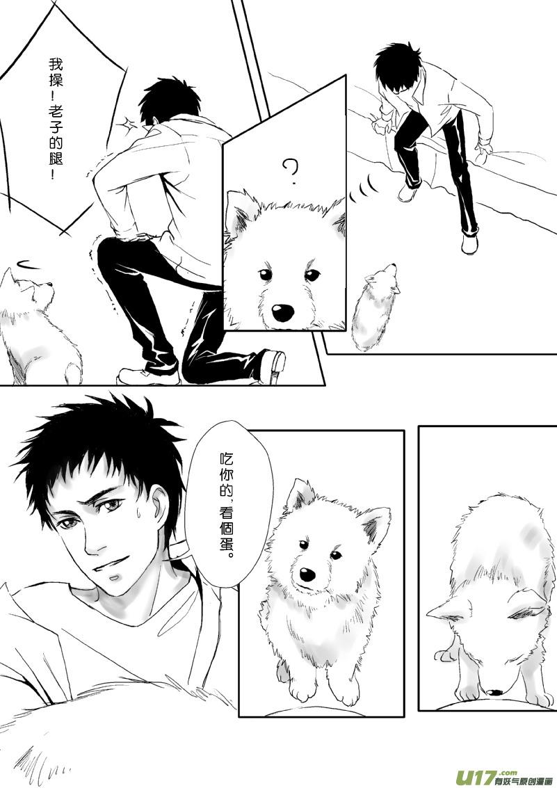 牛奶和狗粮3