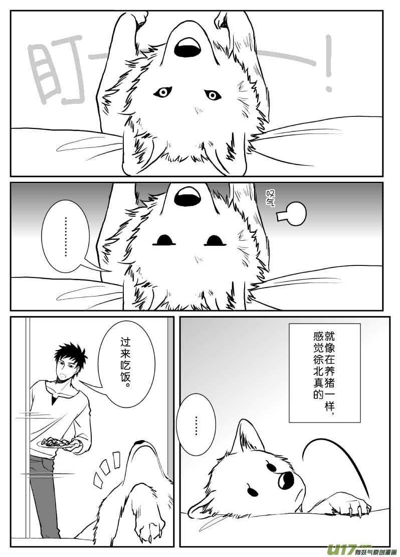 不是小屁狼 （上）1